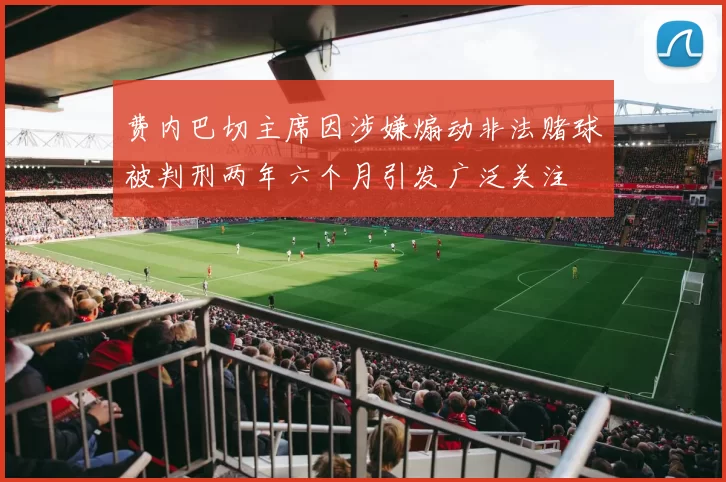 费内巴切主席因涉嫌煽动非法赌球被判刑两年六个月引发广泛关注